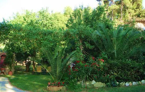 Apartament Christeluda *